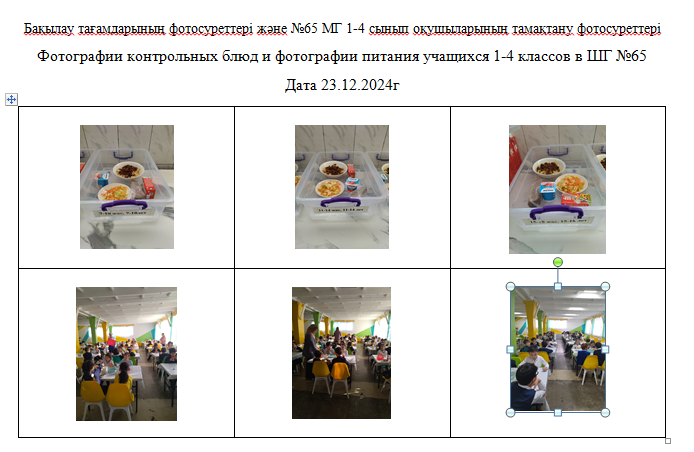 Күнделікті тегін мәзір 1-4 сыныптар үшін, 5-11 сыныптар үшін ХӘОТ  санатынан. 23.12.2024 ж./// Ежедневное  бесплатное  меню для  1-4кл., для 5-11кл.