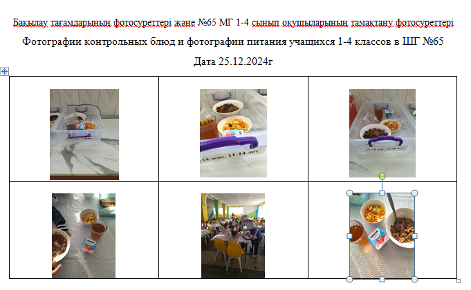 Күнделікті тегін мәзір 1-4 сыныптар үшін, 5-11 сыныптар үшін   ХӘОТ  санатынан.  25.12.2024 ж./// Ежедневное бесплатное меню для 1-4кл.,  для 5-11кл.