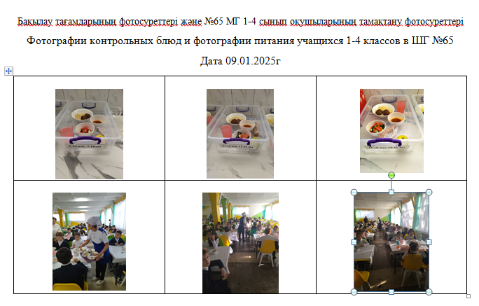 ХӘОТ   санатындағы 5-11 сыныптар үшін 1-4 сыныптарға арналған күнделікті тегін мәзір.   09.01.2025 ж.///Ежедневное  бесплатное  меню  для 1-4кл., 5-11