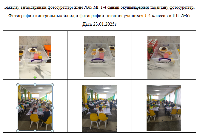 1-4 сыныптарға арналған тегін күнделікті мәзір,   ХӘОТ   санатындағы 5-11 сыныптар. 23.01.2025 ж./// Бесплатное  ежедневное меню для 1-4кл., 5-11кл.