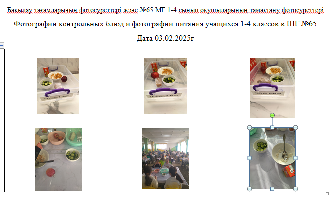 1-4 сыныптарға, 5-11 сыныптарға арналған тегін күнделікті мәзір. 03.02.2025 ж.///Бесплатное  ежедневное меню для 1-4кл., для 5-11кл. из СУСН