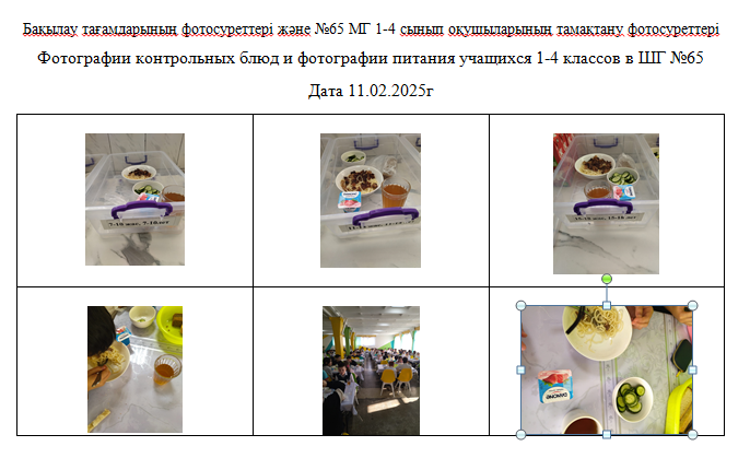 ХӘОТ   санатындағы 5-11 сыныптар үшін 1-4 сыныптарға арналған күнделікті тегін мәзір. 11.02.2025 ж./// Ежедневное  бесплатное меню  для 1-4 классов, для 5-11 классов  из категории  СУСН.  11.02.2025г.