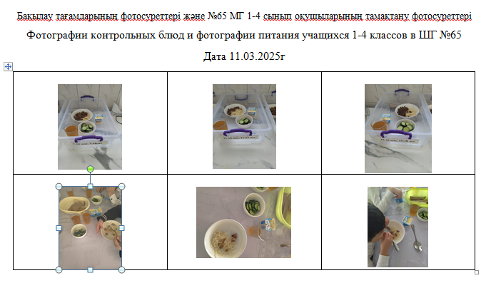 Күнделікті тегін мәзір 1-4 сыныптар үшін, 5-11 сыныптар үшін ХӘОТ   санатынан. 11.03.2025 ж./// Ежедневное  бесплатное   меню   1-4кл.,  для  5-11кл.  из категории  СУСН.  11.03.2025г.