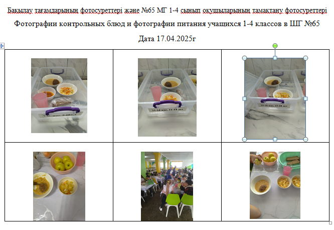Күнделікті тегін мәзір 1-4 сыныптар үшін, 5-11 сыныптар үшін ХӘОТ санатынан. 17.04.2025 ж./// Ежедневное бесплатное меню для 1-4 кл., для 5-11 кл.  из категории  СУСН.