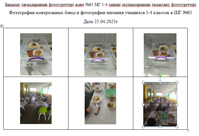 ХӘОТ   санатындағы 5-11 сыныптар үшін 1-4 сыныптарға арналған күнделікті тегін мәзір.  25.04.2025 ж./// Ежедневное   бесплатное  меню для   1-4 кл.,  для   5-11 кл.   из  категории   СУСН.    25.04.2025г.