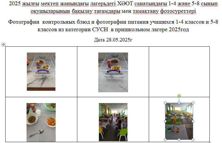 28.05.2025 Ж. арналған "Күншуақ" мектеп жанындағы лагерьдің тегін мәзірі./// Бесплатное меню для пришкольного лагеря    Солнышко  на 28.05.2025г.