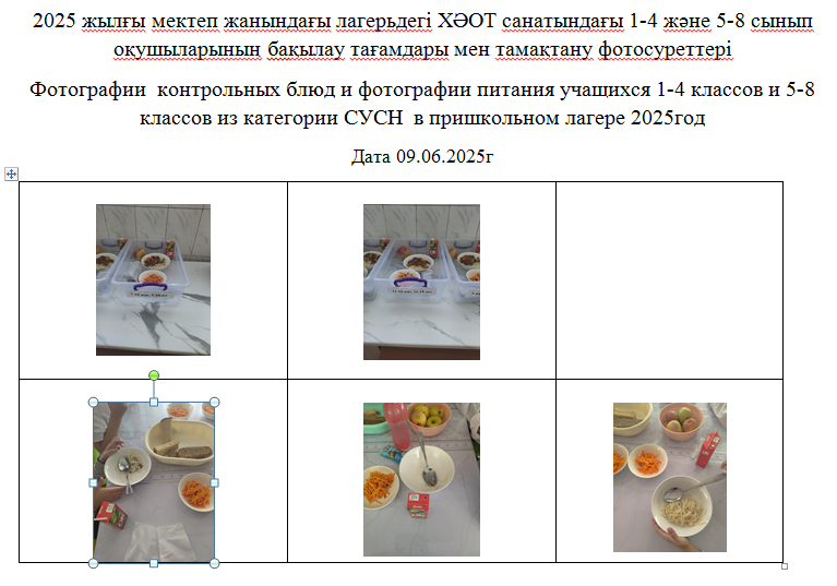 09.06.2025 Ж. арналған "күн" мектеп жанындағы лагерінің тегін мәзірі.///Бесплатное меню пришкольного лагеря  Солнышко  на 09.06.2025г.