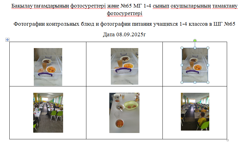 1-4 сыныптар үшін тегін мәзір, 08.09.2025 ж. ХӘОТ санатынан 5-11 сыныптар үшін./// Бесплатное  меню для 1-4 классов,  для 5-11 классов из категории   СУСН  на  08.09.2025г.