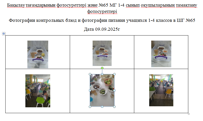 1-4 сыныптар үшін тегін мәзір, 09.09.2025 ж. ХӘОТ санатынан 5-11 сыныптар үшін./// Бесплатное меню для 1-4 классов, для 5-11 классов  из категории СУСН  на 09.09.2025г