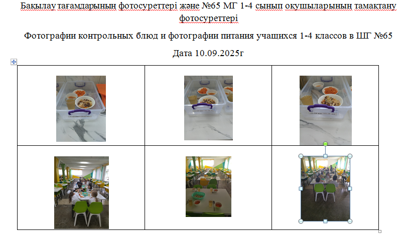 1-4 сыныптар үшін тегін мәзір, 10.09.2025 ж. ХӘОТ санатынан 5-11 сыныптар үшін./// Бесплатное  меню для 1-4 классов, для 5-11 классов из категории СУСН  на 10.09.2025г.