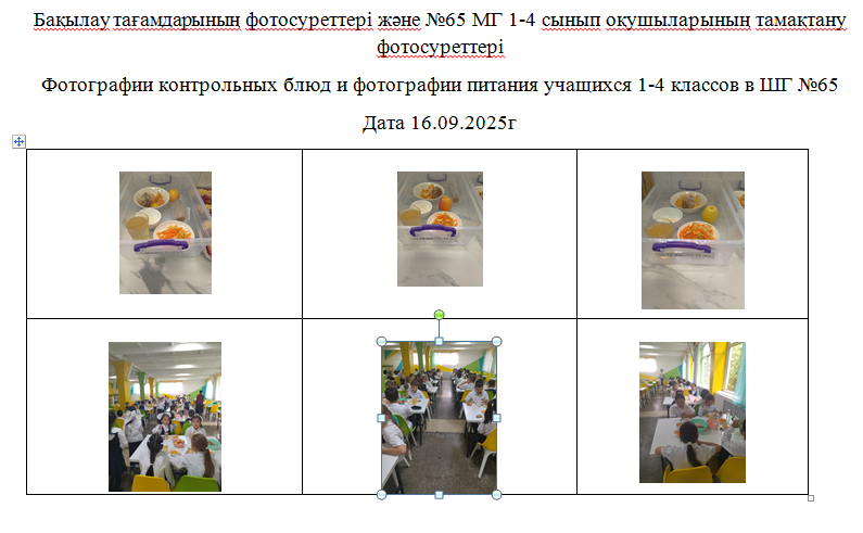 Х ӘОТ  санатындағы 5-11 сыныптар үшін 1-4 сыныптарға арналған тегін мәзір. 16.09.2025 ж./// Бесплатное  меню   для 1-4 классов,  для  5-11 классов  из  категории СУСН   на 16.09.2025г