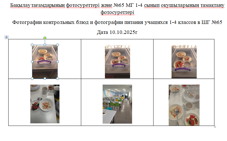 1-4 сыныптарға арналған күнделікті тегін мәзір, 10.10.2025 Ж. арналған ХӘОТ санатындағы 5-11 сыныптар үшін./// Ежедневное  бесплатное меню для 1-4 классов ,  для  5-11 классов  из категории СУСН  на 10.10.2025г.