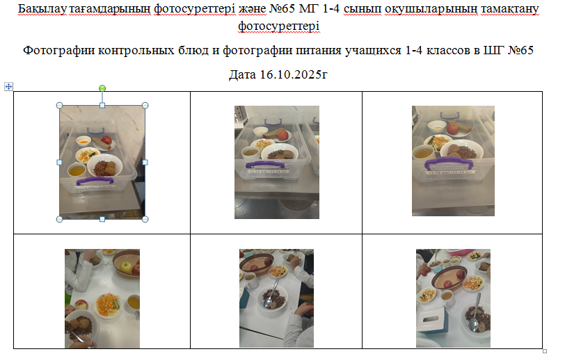 1-4 сыныптарға арналған күнделікті тегін мәзір, 16.10.2025 ж. ХӘОТ   санатындағы 5-11 сыныптар үшін./// Ежедневное бесплатное меню для  1-4 классов,  для    5-11 классов    из категории  СУСН   на   16.10.2025г.