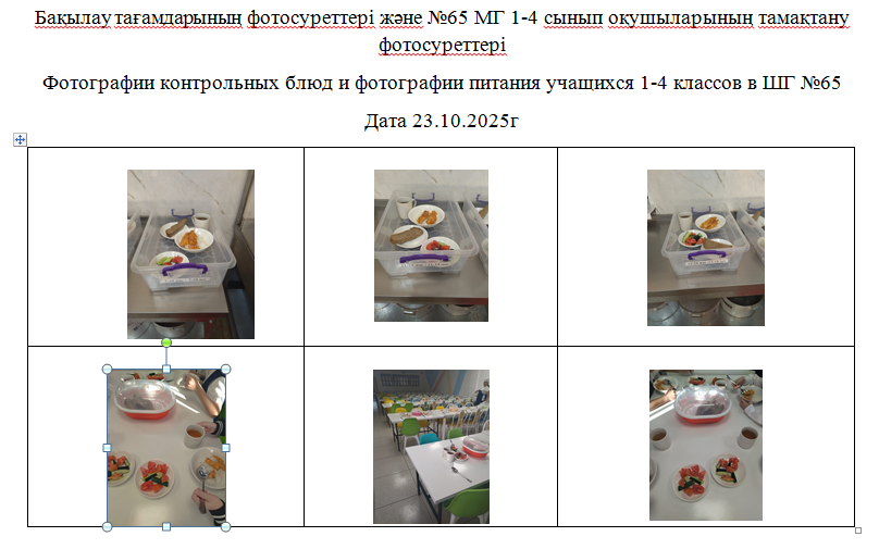 1-4 сыныптарға арналған күнделікті тегін мәзір, 23.10.2025 ж.  ХӘОТ  санатындағы 5-11 сыныптар үшін./// Ежедневное  бесплатное  меню для  1-4  классов,  для 5-11 классов  из категории СУСН  на 23.10.2025г.