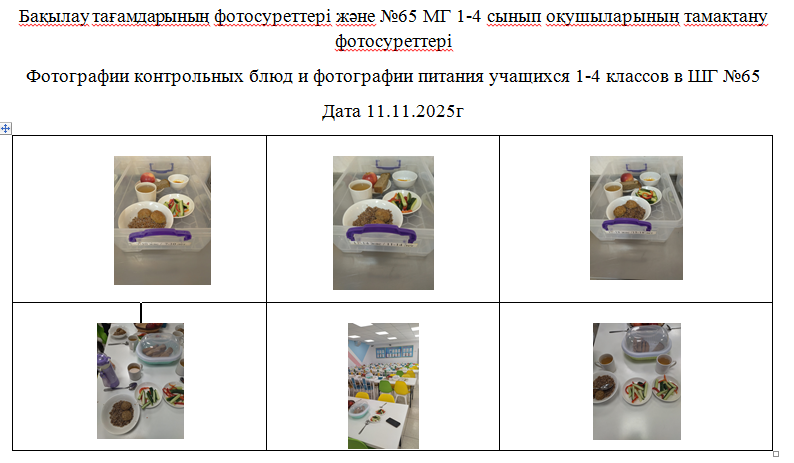1-4 сыныптарға арналған күнделікті тегін мәзір, 11.11.2025 Ж. арналған ХӘОТ  санатындағы 5-11 сыныптар үшін./// Ежедневное  бесплатное  меню  для  1-4  классов,  для  5-11 классов  из категории СУСН  на 11.11.2025г.