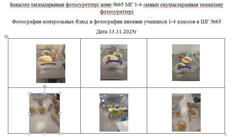 1-4 сыныптарға арналған күнделікті тегін мәзір, 13.11.2025 ж. ХӘОТ  санатындағы 5-11 сыныптар үшін./// Ежедневное  бесплатное  меню для 1-4 классов,  для  5-11 классов из категории СУСН   на 13.11.2025г.