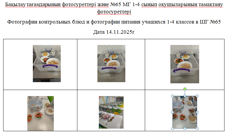 1-4 сыныптар үшін күнделікті тегін мәзір, 14.11.2025 ж. ХӘОТ санатынан 5-11 сыныптар үшін./// Ежедневное  бесплатное меню для 1-4 классов, для  5-11 классов из категории СУСН  на 14.11.2025г.