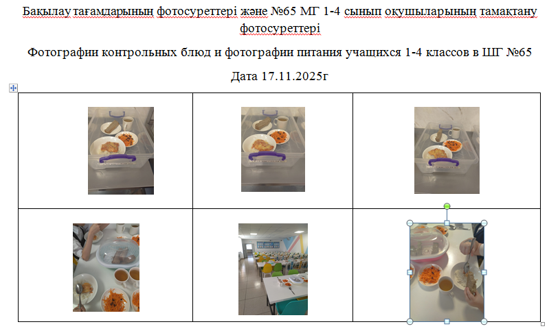 1-4 сыныптарға арналған күнделікті тегін мәзір, 17.11.2025 ж. ХӘОТ санатындағы 5-11 сыныптар үшін./// Ежедневное  бесплатное  меню  для  1-4 классов,  5-11 классов  из категории СУСН  на 17.11.2025г.