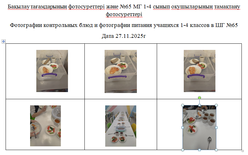 1-4 сыныптарға арналған күнделікті тегін мәзір, 27.11.2025 ж. ХӘОТ  санатындағы 5-11 сыныптар үшін.///  Ежедневное  бесплатное  меню  1-4 классов,  для  5-11 классов  из категории СУСН  на 27.11.2025г.