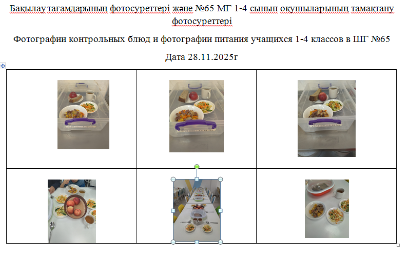 1-4 сыныптарға арналған күнделікті тегін мәзір, 28.11.2025 ж. ХӘОТ санатындағы 5-11 сыныптар үшін./// Ежедневное  бесплатное меню  1-4 классов,  для  5-11 классов  из категории СУСН  на 28.11.2025г.