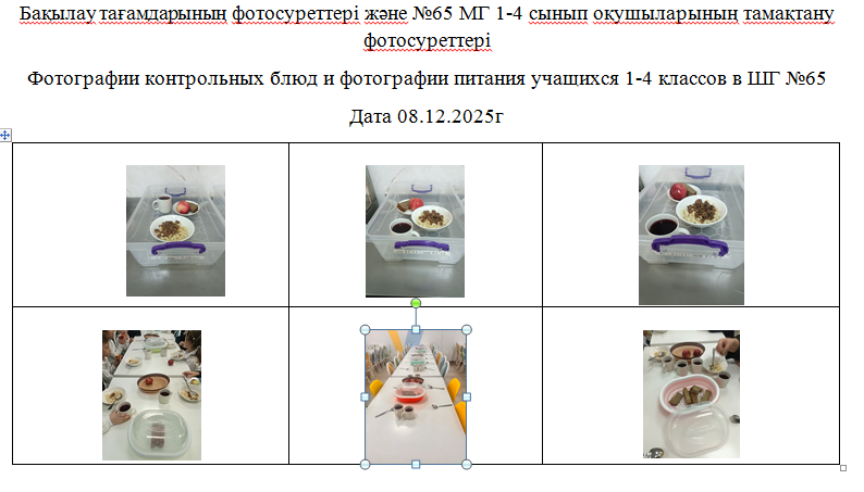 1-4 сыныптар үшін күнделікті тегін мәзір, 08.12.2025 ж. ХӘОТ санатынан 5-11 сыныптар үшін./// Ежедневное  бесплатное  меню  для 1-4 классов,  для  5-11 классов из категории  СУСН  на 08.12.2025г