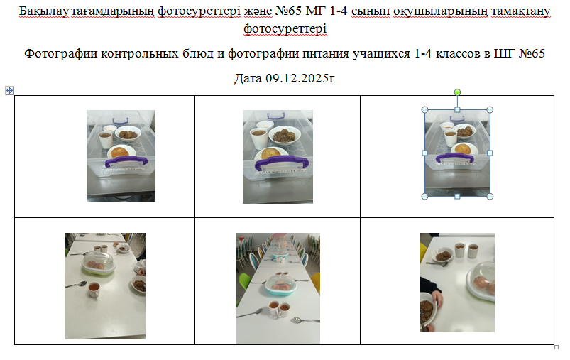 1-4 сыныптарға арналған күнделікті тегін мәзір, 09.12.2025 ж. ХӘОТ  санатындағы 5-11 сыныптар үшін./// Ежедневное  бесплатное  меню для  1-4 классов,  для   5-11  классов  из категории   СУСН  на   09.12.2025г.