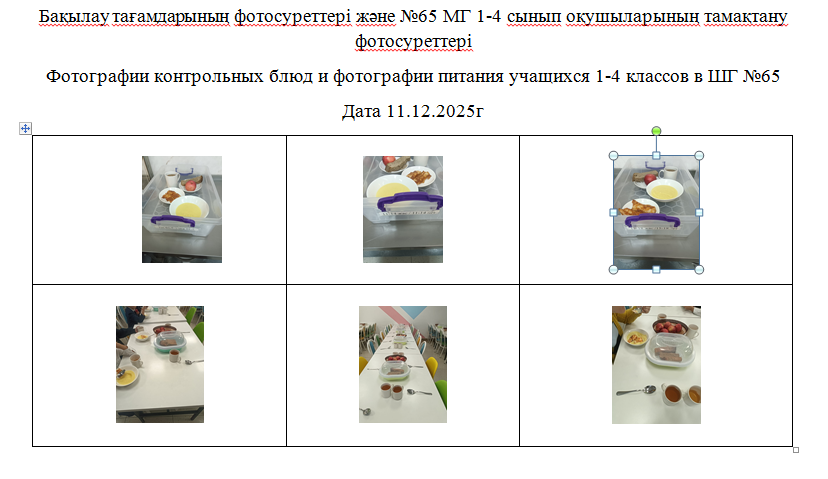 1-4 сыныптарға арналған күнделікті тегін мәзір, 11.12.2025 ж. ХӘОТ санатындағы 5-11 сыныптар үшін./// Ежедневное  бесплатное  меню для 1-4 классов, для  5-11 классов  из категории  СУСН   за 11.12.2025г.