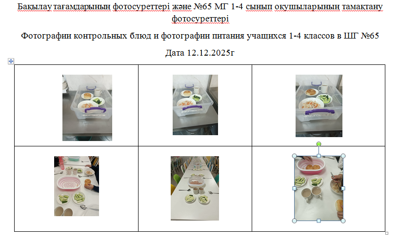 1-4 сыныптарға арналған күнделікті тегін мәзір, 12.12.2025 ж. ХӘОТ санатындағы 5-11 сыныптар үшін./// Ежедневное  бесплатное  меню для 1-4 классов,  для  5-11 классов  из категории  СУСН  на 12.12.2025г.