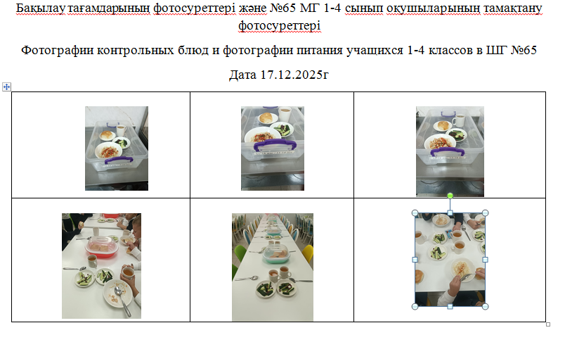 1-4 сыныптарға арналған күнделікті тегін мәзір, 17.12.2025 ж. ХӘОТ санатындағы 5-11 сыныптар үшін.///Ежедневное  бесплатное   меню для  1-4 классов,  для   5-11 классов  из категории СУСН  на 17.12.2025г.