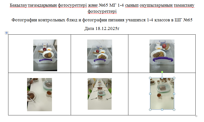 1-4 сыныптарға арналған күнделікті тегін мәзір, 18.12.2025 ж. ХӘОТ  санатындағы 5-11 сыныптар үшін./// Ежедневное  бесплатное  меню для  1-4 классов,  для  5-11 классов  из категории СУСН  на 18.12.2025г.