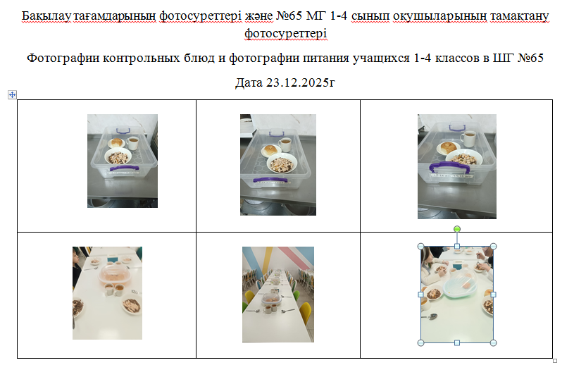 1-4 сыныптарға арналған күнделікті тегін мәзір, 23.12.2025 ж. ХӘОТ санатындағы 5-11 сыныптар үшін./// Ежедневное  бесплатное  меню  для 1-4 классов,  5-11 классов из категории СУСН  на 23.12.2025г.