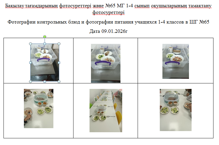 1-4 сыныптарға арналған күнделікті тегін мәзір, 09.01.2026 ж. ХӘОТ санатындағы 5-11 сыныптар үшін./// Ежедневное  бесплатное  меню для 1-4 классов,  для  5-11 классов  из категории  СУСН  на 09.01.2026г.