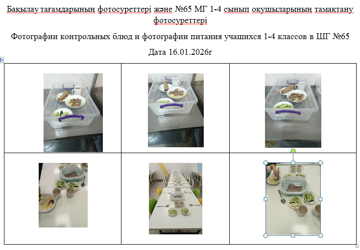 1-4 сыныптарға арналған күнделікті тегін мәзір, 16.01.2026 ж. ХӘОТ санатындағы 5-11 сыныптар үшін./// Ежедневное  бесплатное  меню для 1-4 классов, для  5-11 классов  из категории  СУСН  на 16.01.2026г.