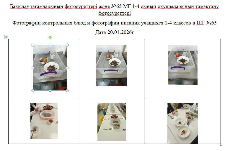 1-4 сыныптарға арналған күнделікті тегін мәзір, 20.01.2026 ж. ХӘОТ санатындағы 5-11 сыныптар үшін./// Ежедневное  бесплатное  меню для  1-4 классов,  для 5-11 классов  из  категории  СУСН  на 20.01.2026г.