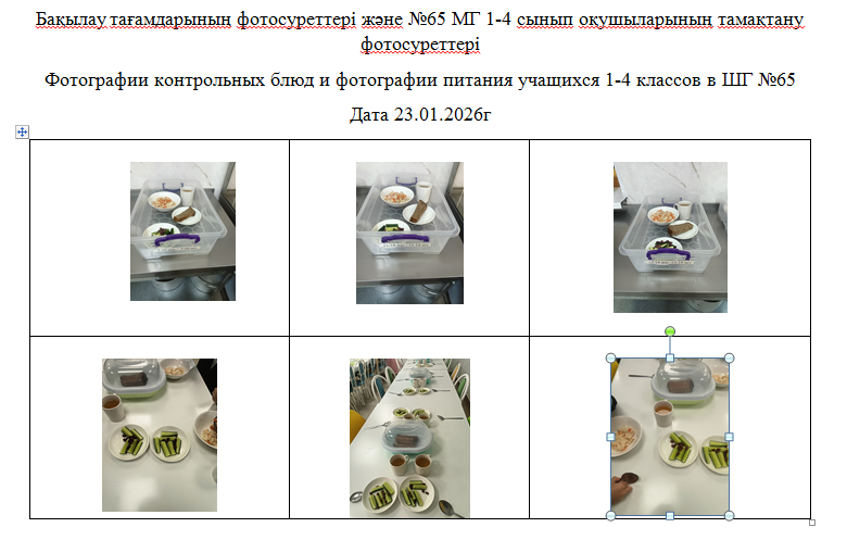 1-4 сыныптарға арналған күнделікті тегін мәзір, 23.01.2026 ж. ХӘОТ  санатындағы 5-11 сыныптар үшін./// Ежедневное   бесплатное  меню  для   1-4 классов,  для   5-11 классов  из категории  СУСН   на 23.01.2026г.