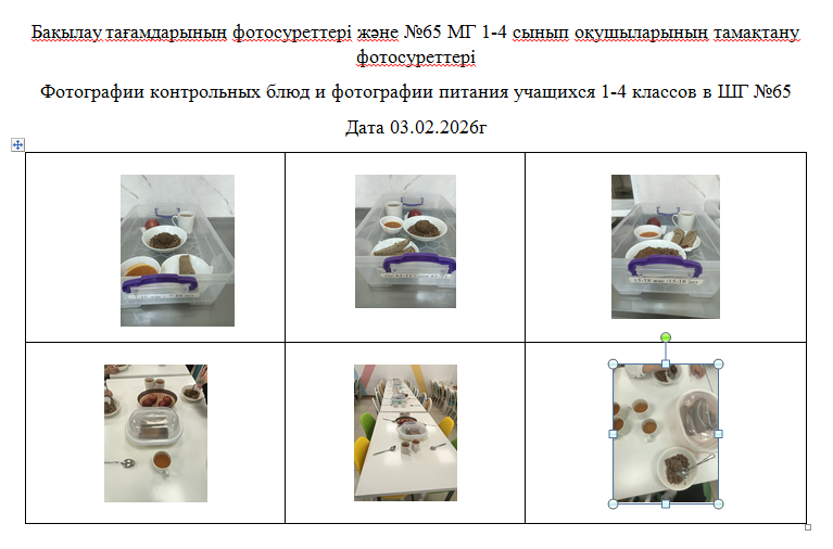 1-4 сыныптарға арналған күнделікті тегін мәзір, 03.02.2026 ж.   ХӘОТ  санатындағы 5-11 сыныптар үшін./// Ежедневное  бесплатное  меню для 1-4 классов,  для 5-11 классов  из категории СУСН за 03.02.2026г.