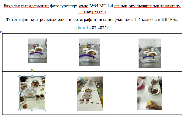 1-4 сыныптарға арналған күнделікті тегін мәзір, 12.02.2026 ж. ХӘОТ  санатындағы 5-11 сыныптар үшін./// Ежедневное  бесплатное меню  для 1-4 классов , для   5-11 классов  из категории СУСНи за 12.02.2026г.