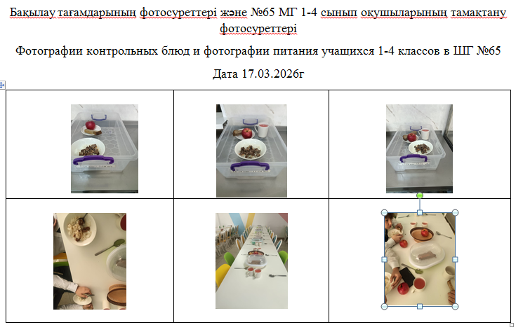 1-4 сыныптарға арналған күнделікті тегін мәзір, 17.03.2026 ж.   ХӘОТ  санатындағы 5-11 сыныптар үшін./// Ежедневное бесплатное  меню  для 1-4 классов,  для    5-11 классов   из категории   СУСН  за 17.03.2026г.