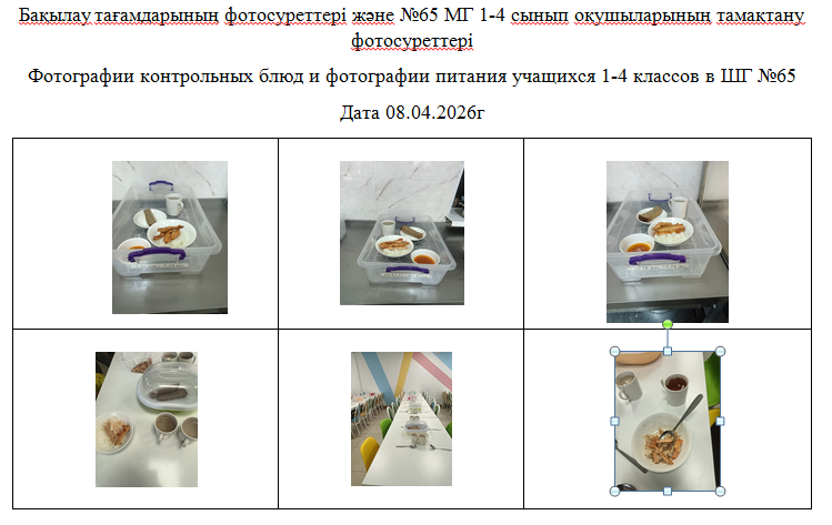 1-4 сыныптарға арналған күнделікті тегін мәзір, 08.04.2026 ж.  ХӘОТ  санатындағы 5-11 сыныптар үшін.///  Ежедневное  бесплатное  меню для  1-4 классов,  для  5-11 классов   из категории   СУСН  за 08.04.2026г.