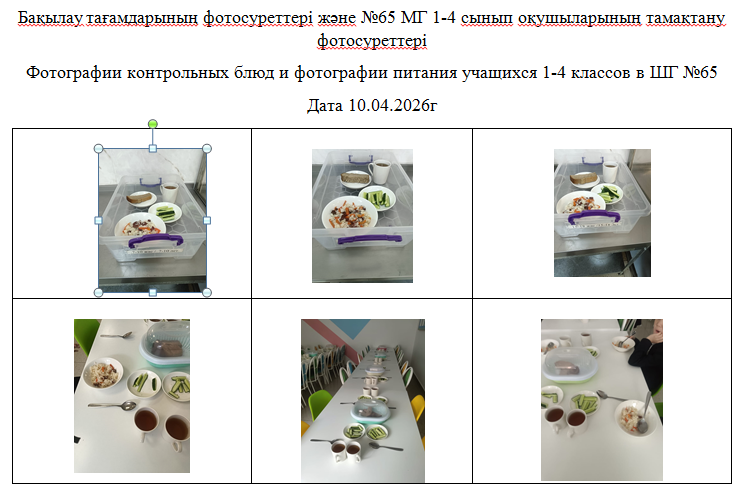 1-4 сыныптарға арналған күнделікті тегін мәзір, 10.04.2026 ж. ХӘОТ санатындағы 5-11 сыныптар үшін./// Ежедневное  бесплатное  меню   для 1-4 классов,  для  5-11 классов  из категории СУСН  за 10.04.2026г.