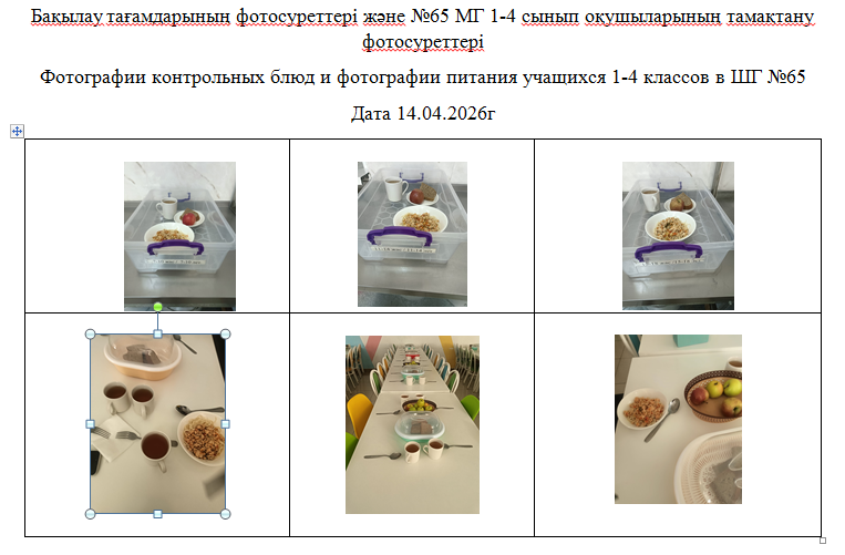 1-4 сыныптарға арналған күнделікті тегін мәзір, 14.04.2026 ж. ХӘОТ санатындағы 5-11 сыныптар үшін./// Ежедневное  бесплатное  меню для 1-4 классов,  для    5-11 классов   из категории  СУСН за 14.04.2026г.