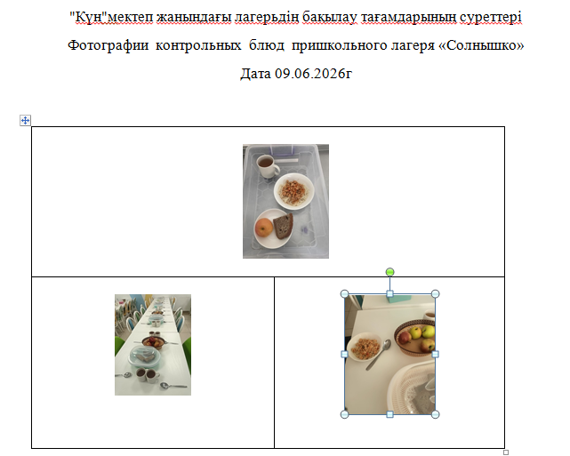 09.06.2026 Ж. арналған "Күн" мектеп жанындағы лагерьге арналған тегін мәзір./// Бесплатное меню для пришкольного лагеря " Солнышко"  на 09.06.2026г.