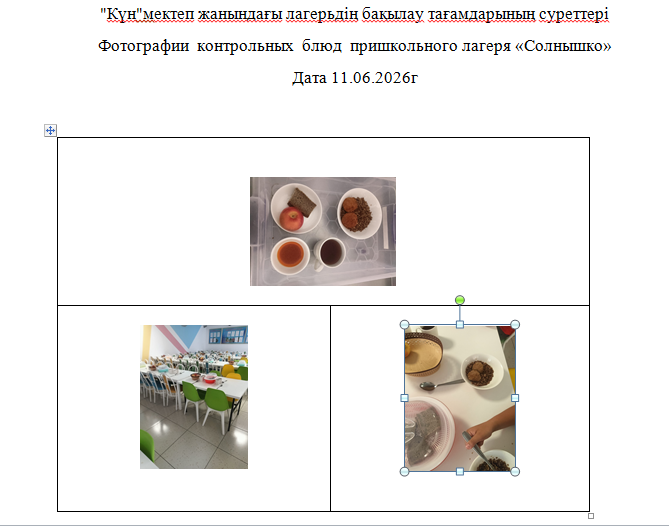 11.06.2026 Ж. арналған "Күн" мектеп жанындағы лагерьге арналған тегін мәзір./// Бесплатное меню для пришкольного лагеря  " Солнышко"  на 11.06.2026г.