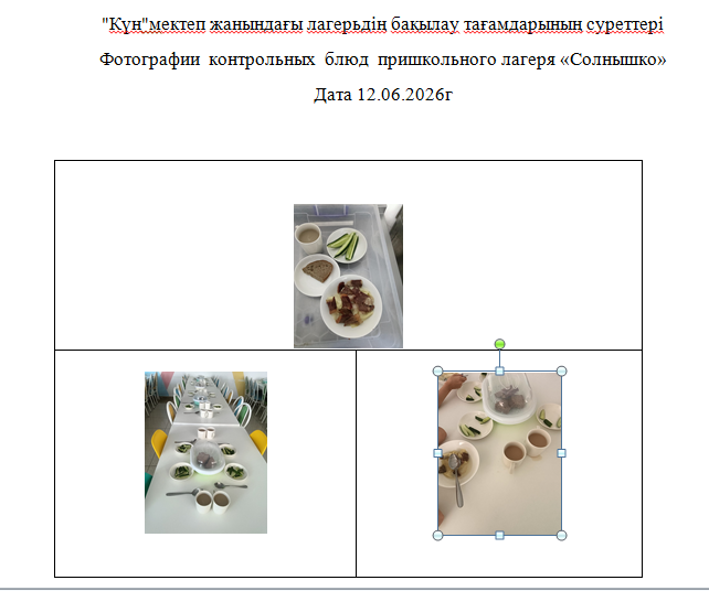 12.06.2026 Ж. арналған "Күн" мектеп жанындағы лагерьге арналған тегін мәзір./// Бесплатное меню для пришкольного  лагеря " Солнышко"  на 12.06.2026г.